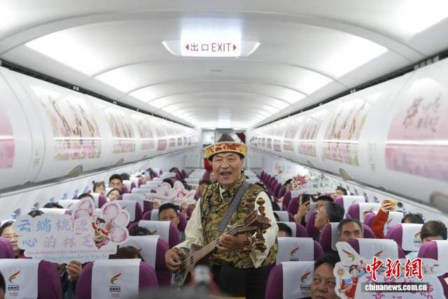 图为“林芝文旅号”主题航班落地林芝米林机场。林芝市文化和旅游局 供图