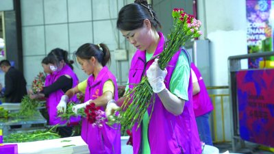     ▲ 志愿者在打包鲜花。云南省妇联供图