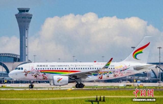 图为“林芝文旅号”主题航班落地林芝米林机场。林芝市文化和旅游局 供图