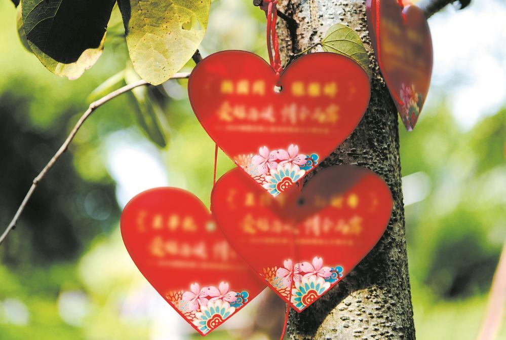 “同心树”上绑“同心结”。 新华社记者 魏培全 摄